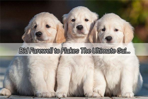 Bid Farewell to Flakes The Ultimate Guide to Bathe Your Dog Without a Single Scalp Shred